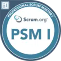Professional Scrum Master